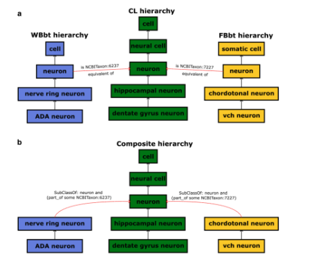 Cell Omics