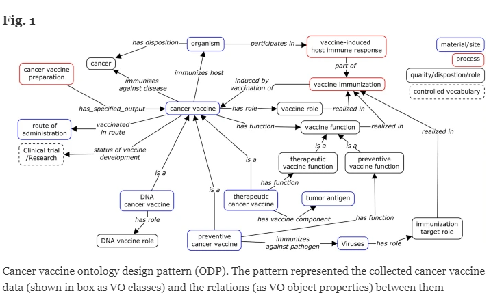 Vaccine Ontology (Oncological Model)